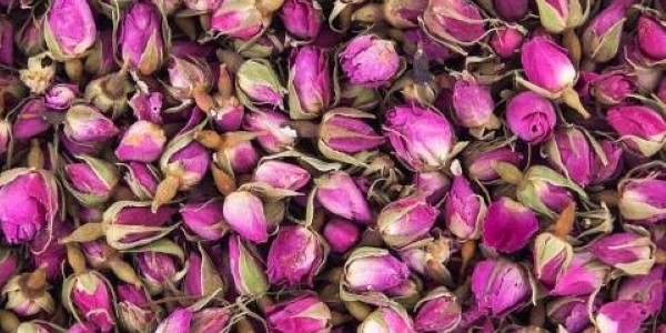 تصویر 4 از فروش غنچه گل محمدی گلستان + قیمت خرید به صرفه